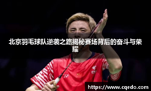 开云网站