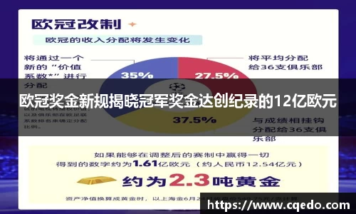 开云网站