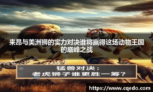 开云kaiyun
